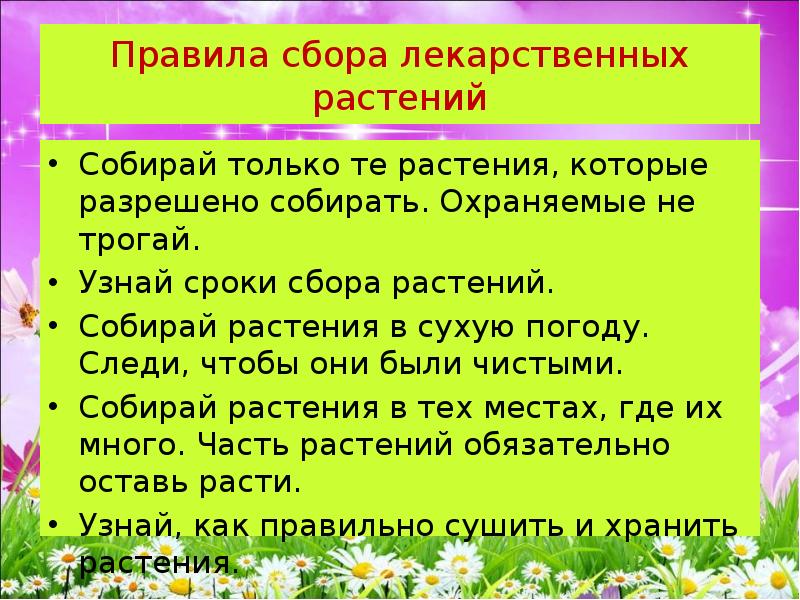 Правила сбора. Правила сбора растений. Правила собирать растения. Правила сбора лекарственных растений. Правила сбора лекарственных растений 2 класс.