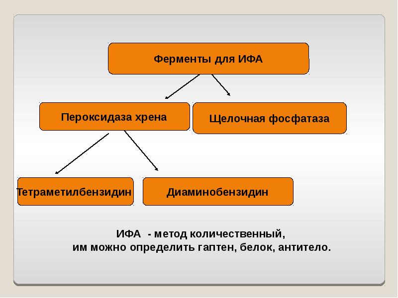 Показатель качества белка. Ферменты ИФА. Пероксидаза хрена в ИФА.