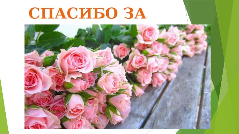 СПАСИБО ЗА ВНИМАНИЕ!
СПАСИБО ЗА ВНИМАНИЕ! СПАСИБО ЗА ВНИМАНИЕ!
СПАСИБО ЗА ВНИМАНИЕ!