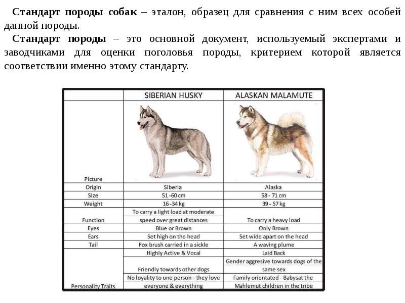 Какая характеристика относится к стандарту образец эталон модель не