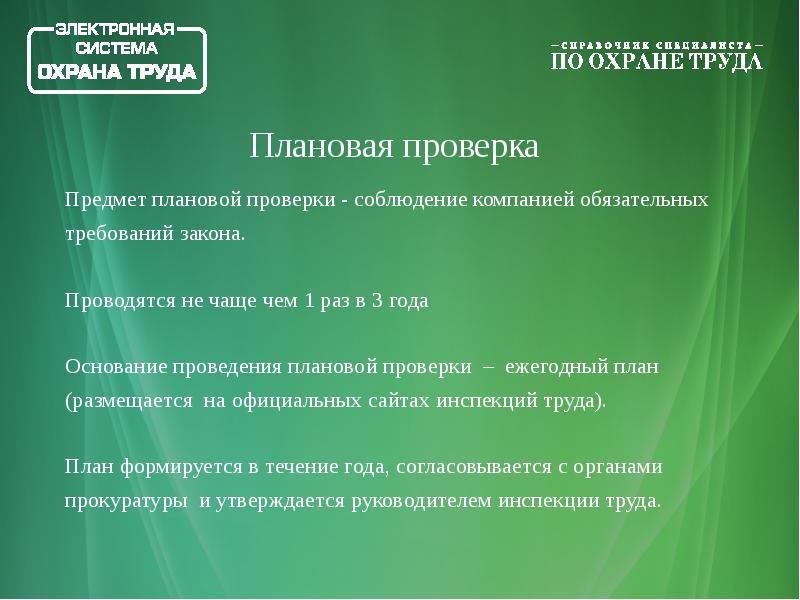 Объект плановой проверки. Основания для проведения плановой проверки. Плановые проверки проводятся не чаще.