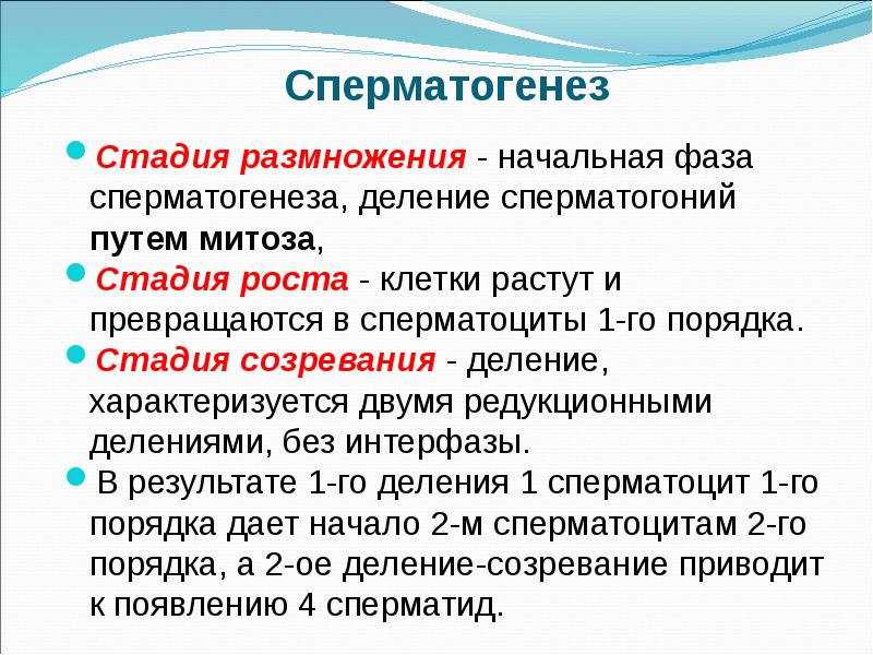 Этапы размножения