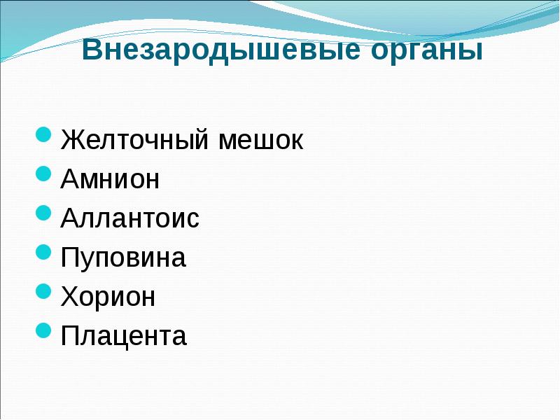 Внезародышевые органы презентация