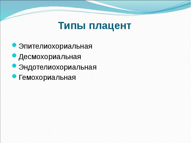 Типы плацент презентация