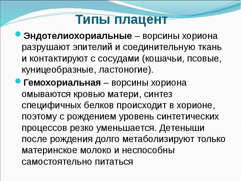 Типы плацент презентация