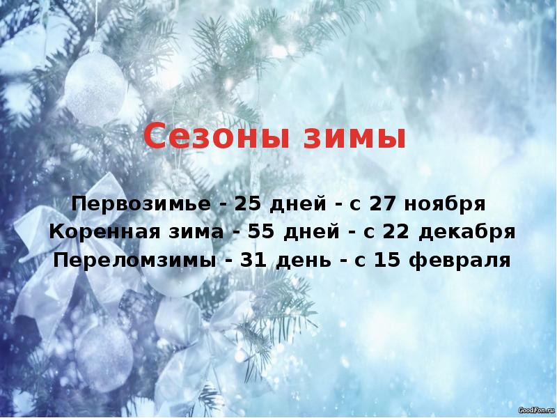 Сколько длится зимнее. Первозимье даты. Зима длится месяцев недель и дней. Фенологический календарь природы.