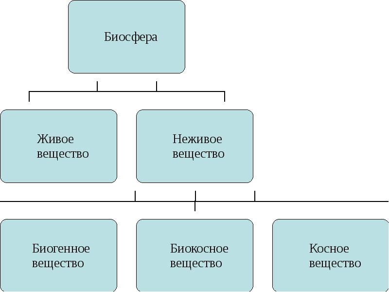 Вещества биосферы схема