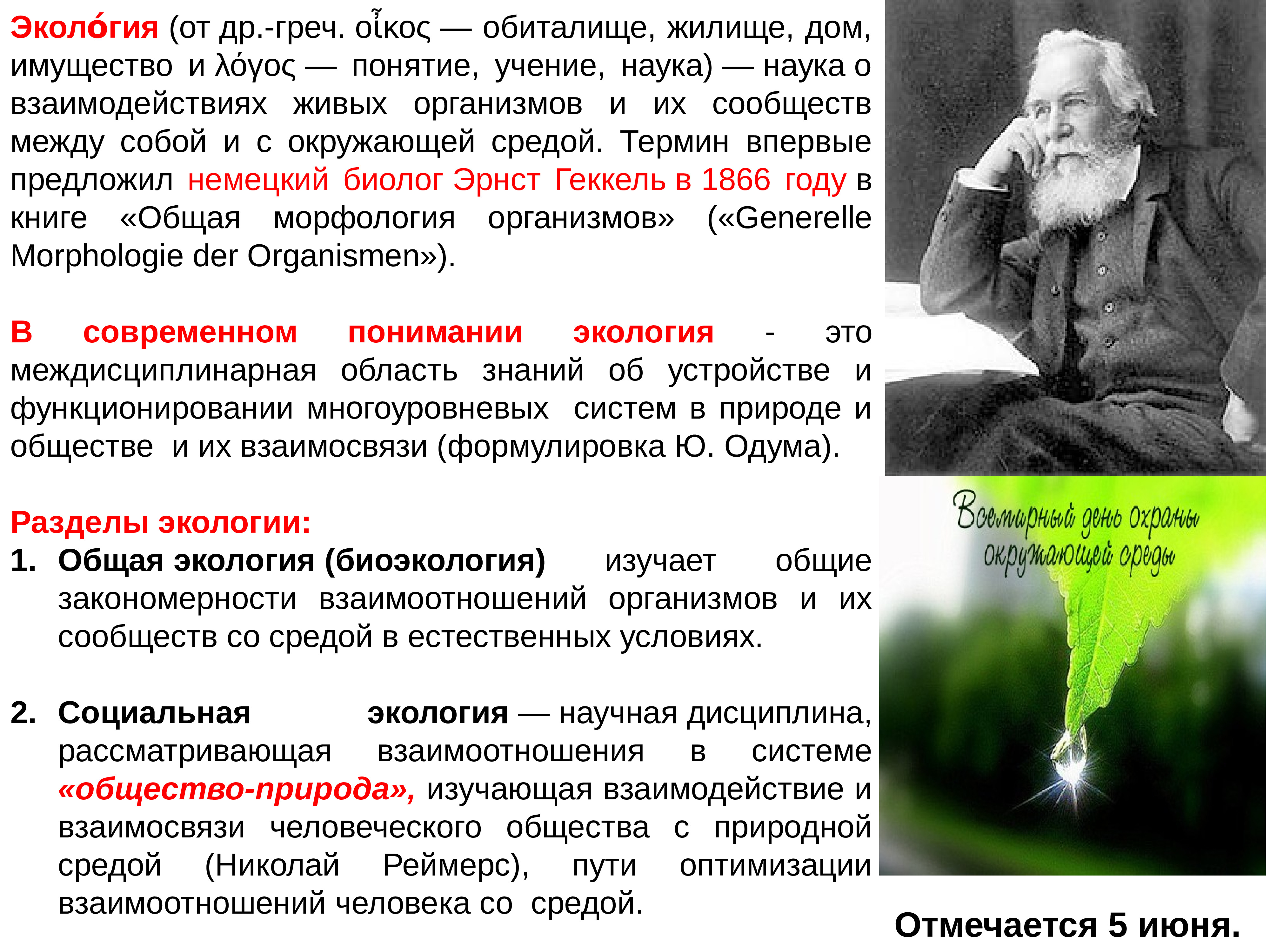 Кто ввел термин экология. Термин экология предложил. Редложил термин «экология»:. Термин экология ввел. Впервые термин «экология» был предложен.