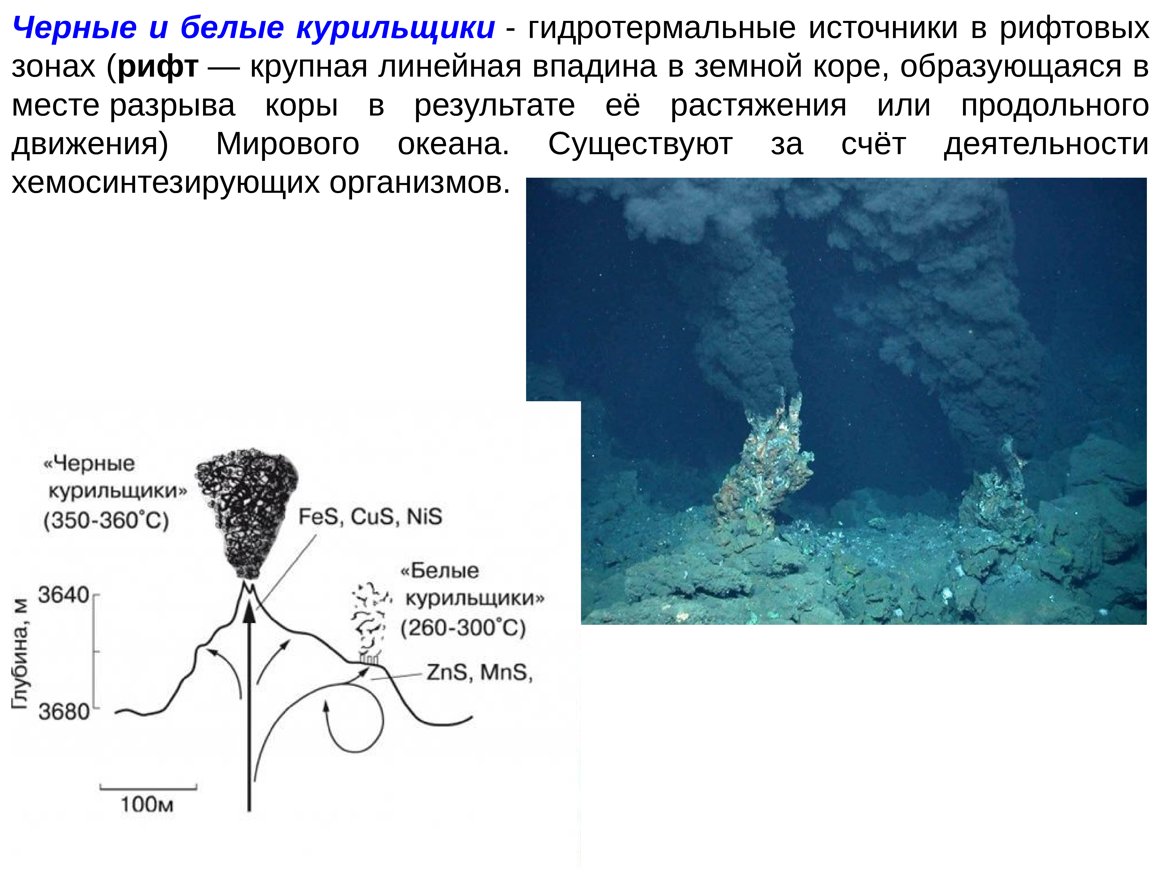 Какие преимущества имеют гидротермальные источники. Гидротермальные источники черные курильщики. Черные и белые курильщики. Черные курильщики в океане. Черные курильщики бактерии.