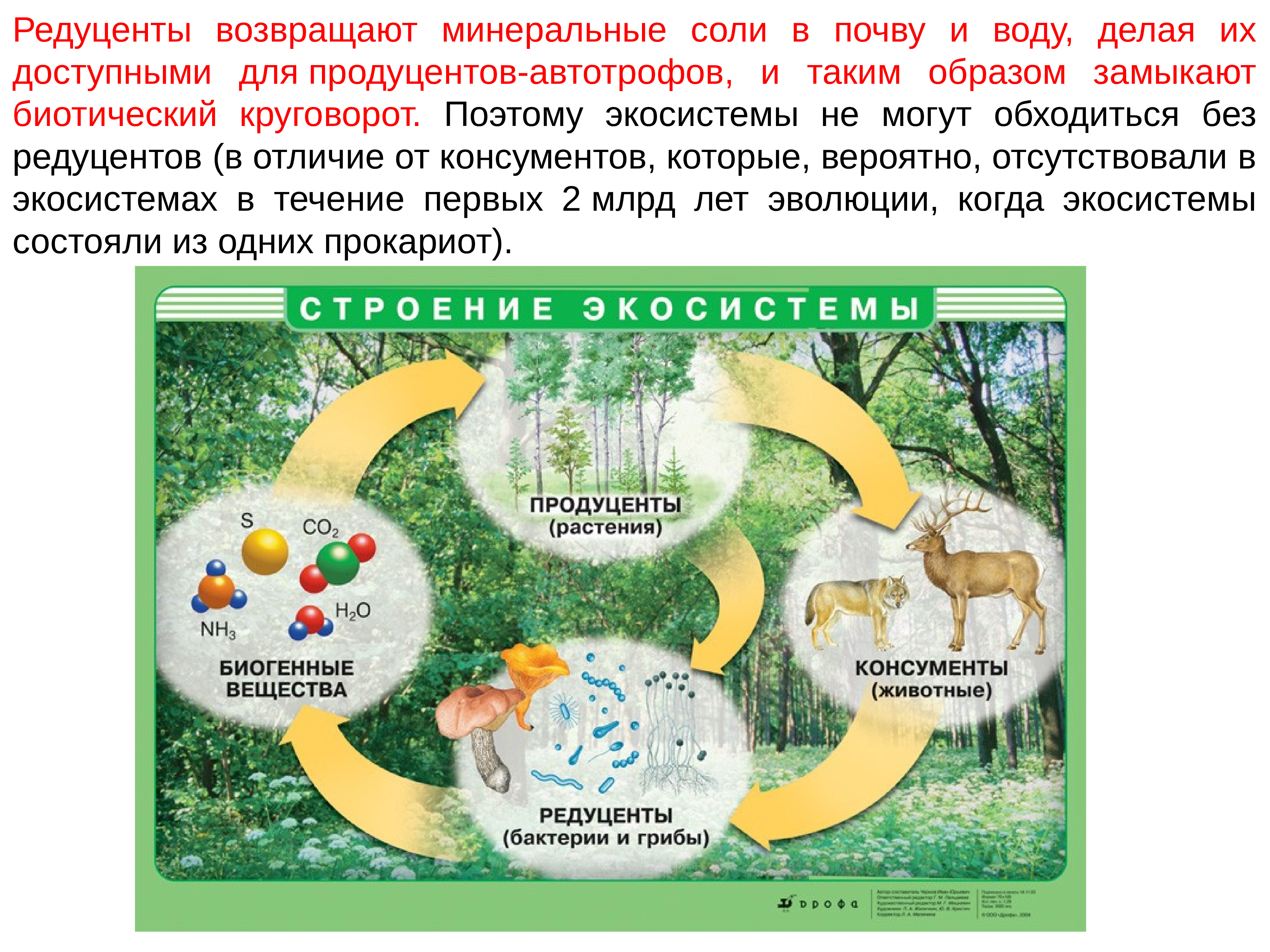 Роль организмов в биогеоценозе