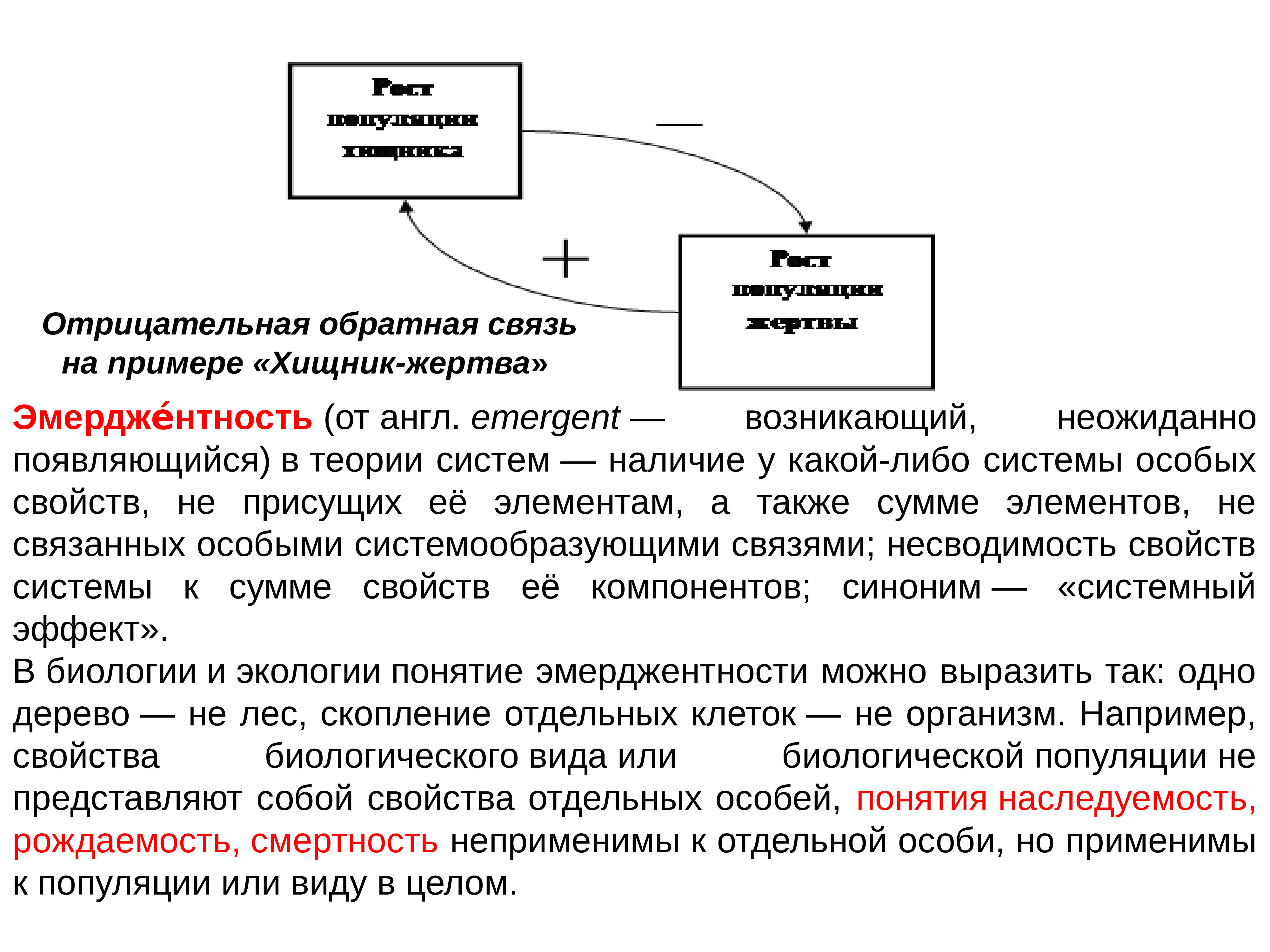 Основные понятия презентации. Основные термины экологии. Эмерджентность это в экологии. Ратценхофер основные термины. Ратценхофер ключевые понятия.