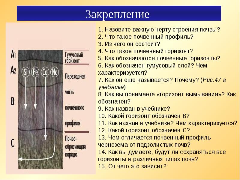 Образование почв и их разнообразие 8 класс презентация