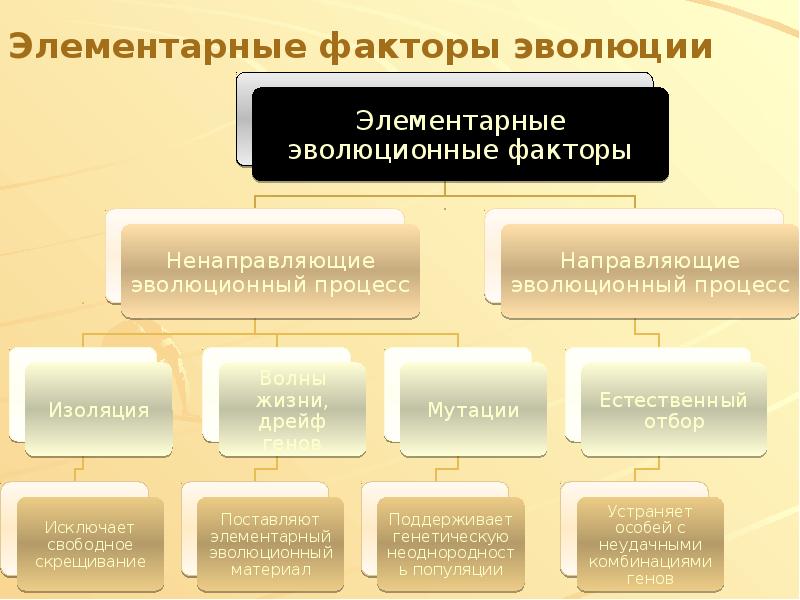 Элементарные факторы эволюции