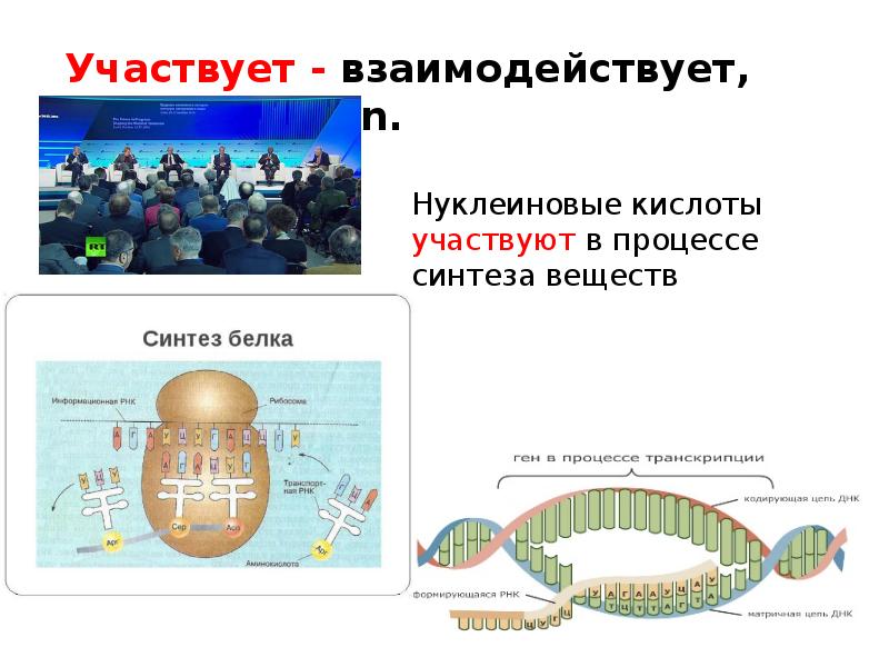 В синтезе принимают участие. Процесс синтеза нуклеиновых кислот. Нуклеиновые кислоты в синтезе белка. Нуклеиновые кислоты участвуют в. Какие нуклеиновые кислоты участвуют в процессе биосинтеза белка.