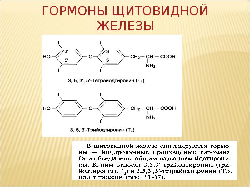 Схема синтеза тиреоидных гормонов