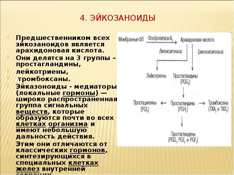 Эйкозаноиды биохимия презентация