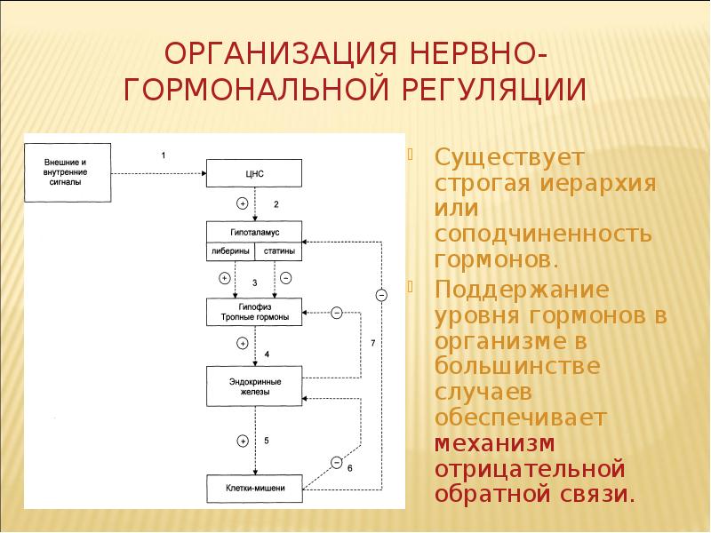 Поддержание уровня