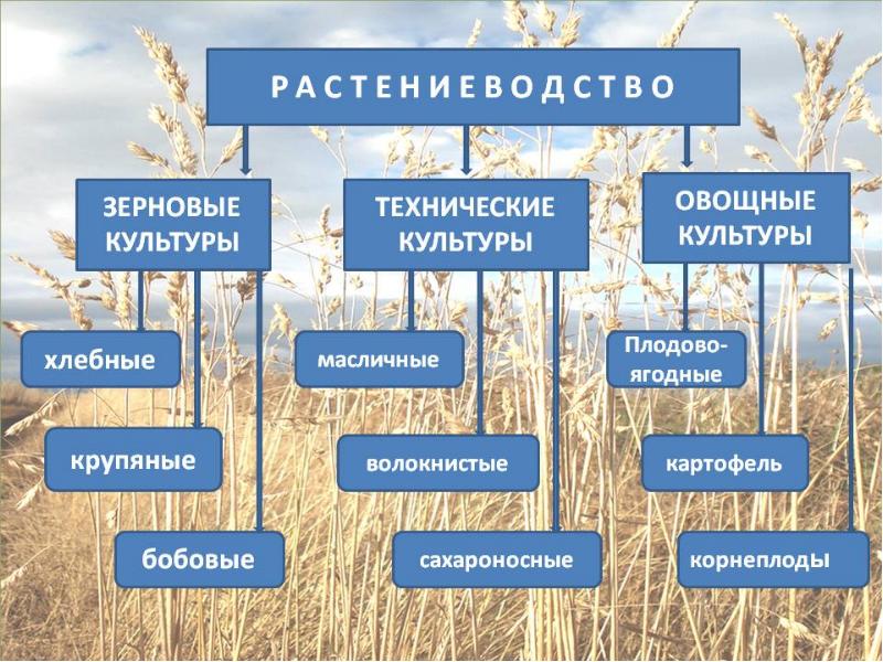 Хозяйство россии 9 класс презентация