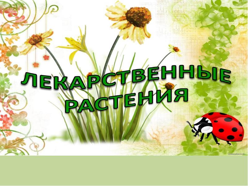 Презентация лекарственные растения луганщины