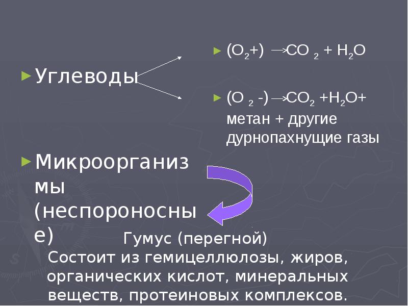 Эпидемиологическое значение почвы презентация