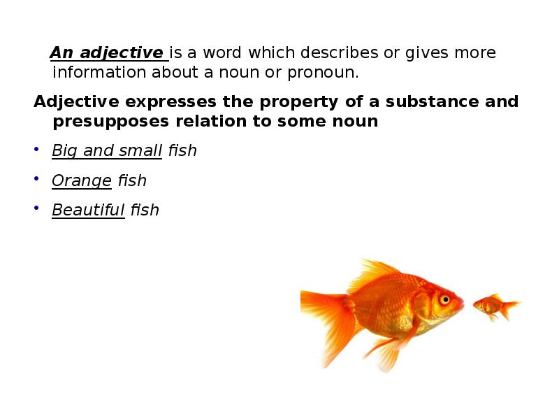 An adjective is a word which describes or gives more information about a noun An adjective is a word which describes or gives more information about a noun