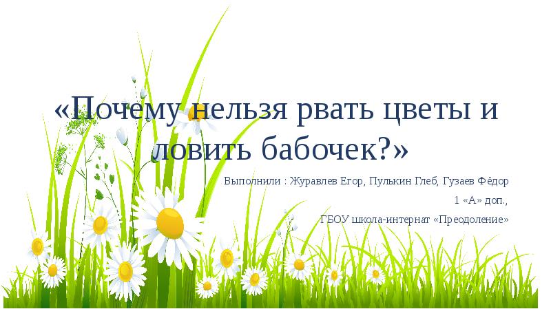 почему нельзя ловить