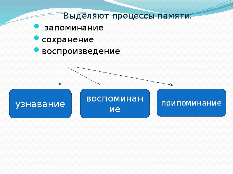 Процессы памяти запоминание сохранение воспроизведение