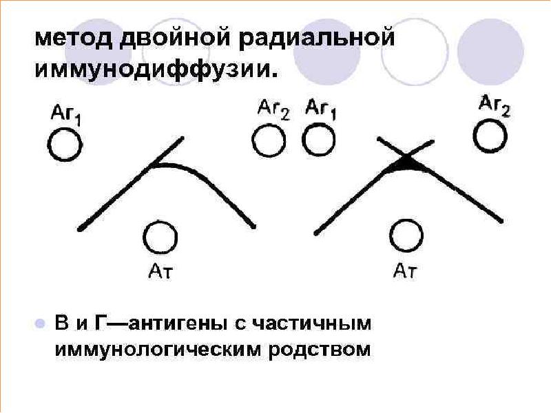 Радиальная иммунодиффузия по манчини презентация - 98 фото