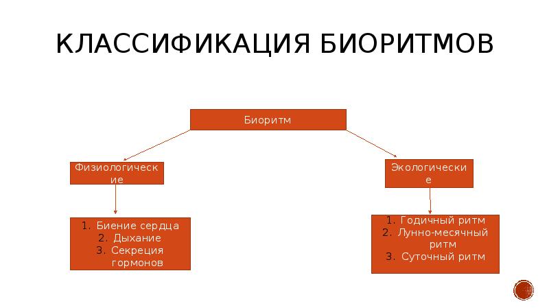 В тексте описана классификация биологических ритмов на основе текста заполни схему