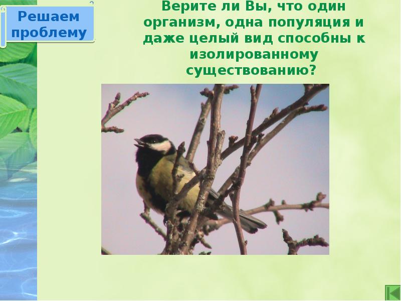 Верите ли Вы, что один организм, одна популяция и даже целый