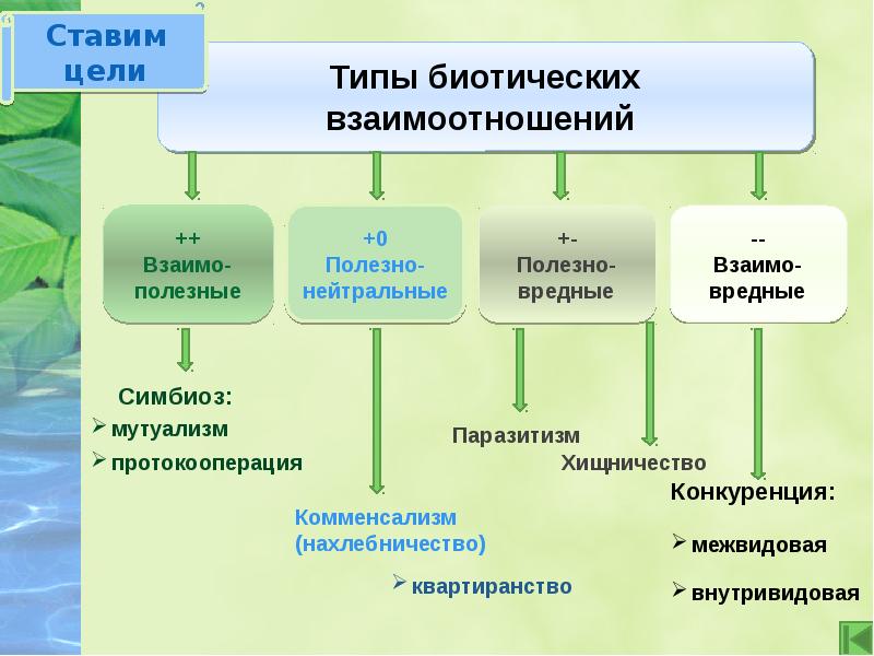 Презентация по биологии 9 класс межвидовые отношения организмов в экосистеме