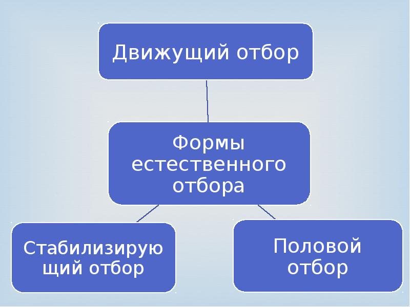 Движущим отбором является. Движущим отбором является