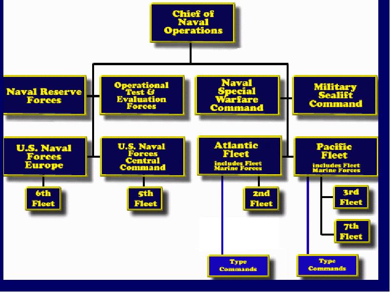 Naval перевод. Us Navy structure. Us Navy Command structure. Us Navy Department. The structure of the Navy.