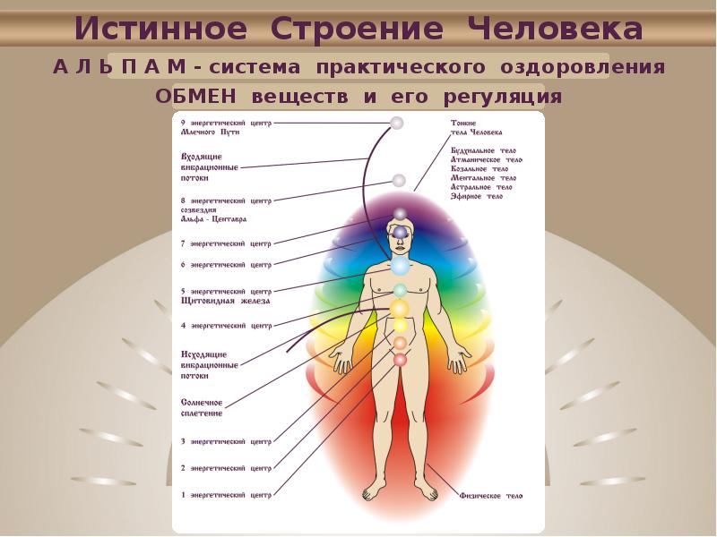 Структура человека. Строение человека. Истинное строение человека. Человек и его строение. Структурное строение человека.