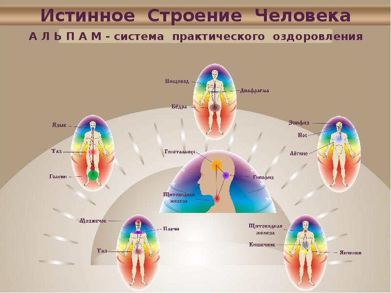 Наибольшая структура человека. Истинное строение человека. Полевая структура человека. Строение психологии человека. Альпам строение человека.