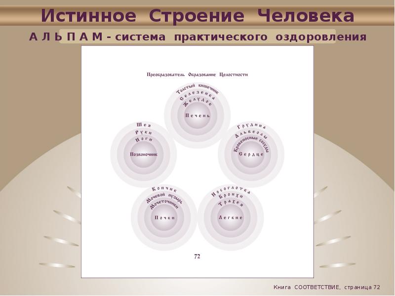 Практическая система