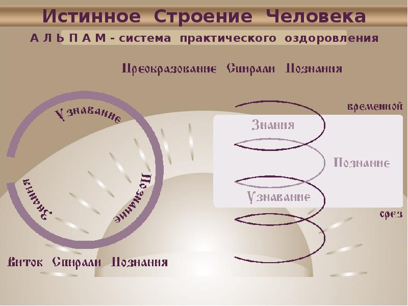 Практическая система. Истинное строение человека. Строение истинных камней. Строение истинных и ложных капсул.