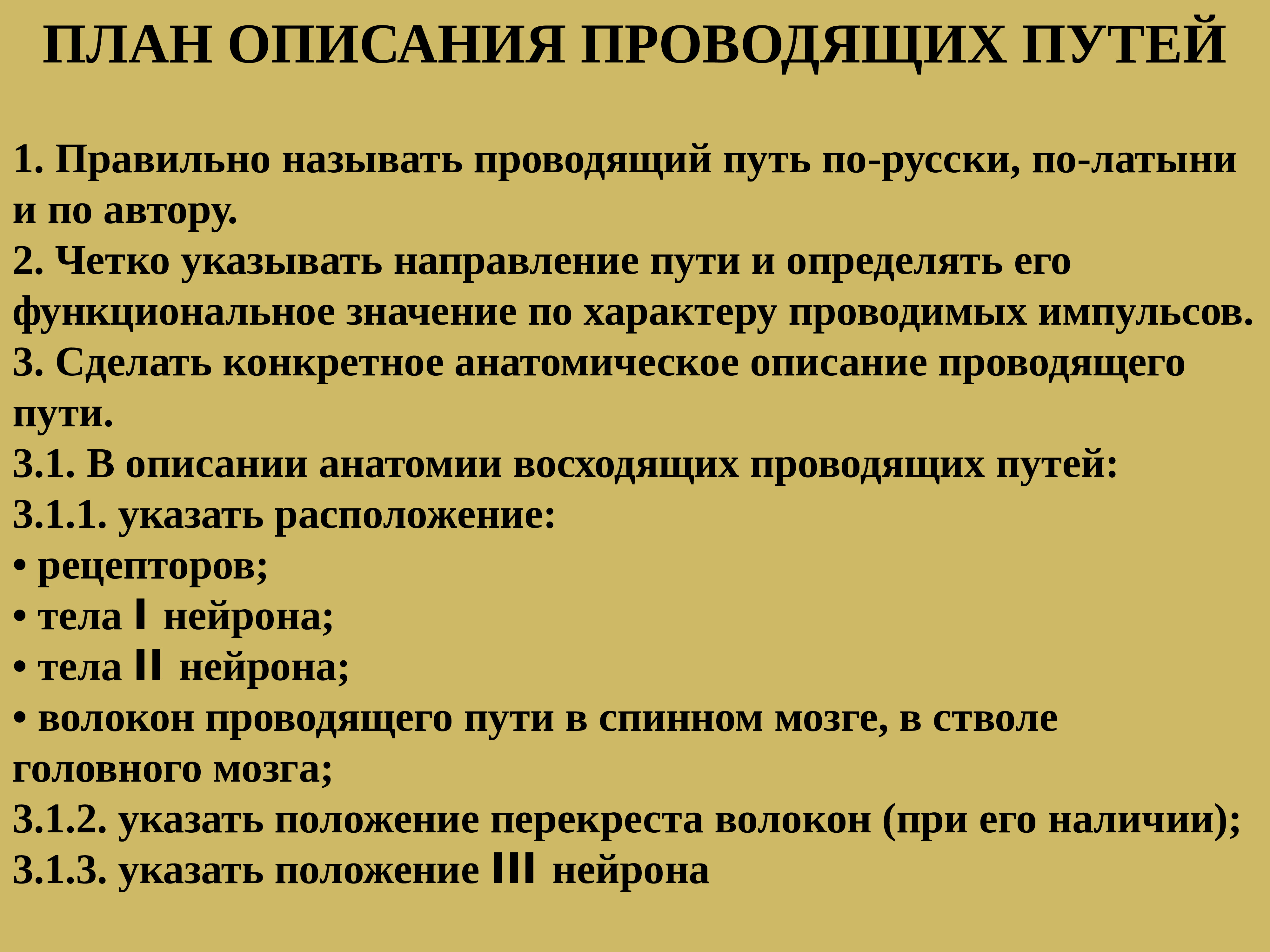 Проводящие пути спинного мозга презентация