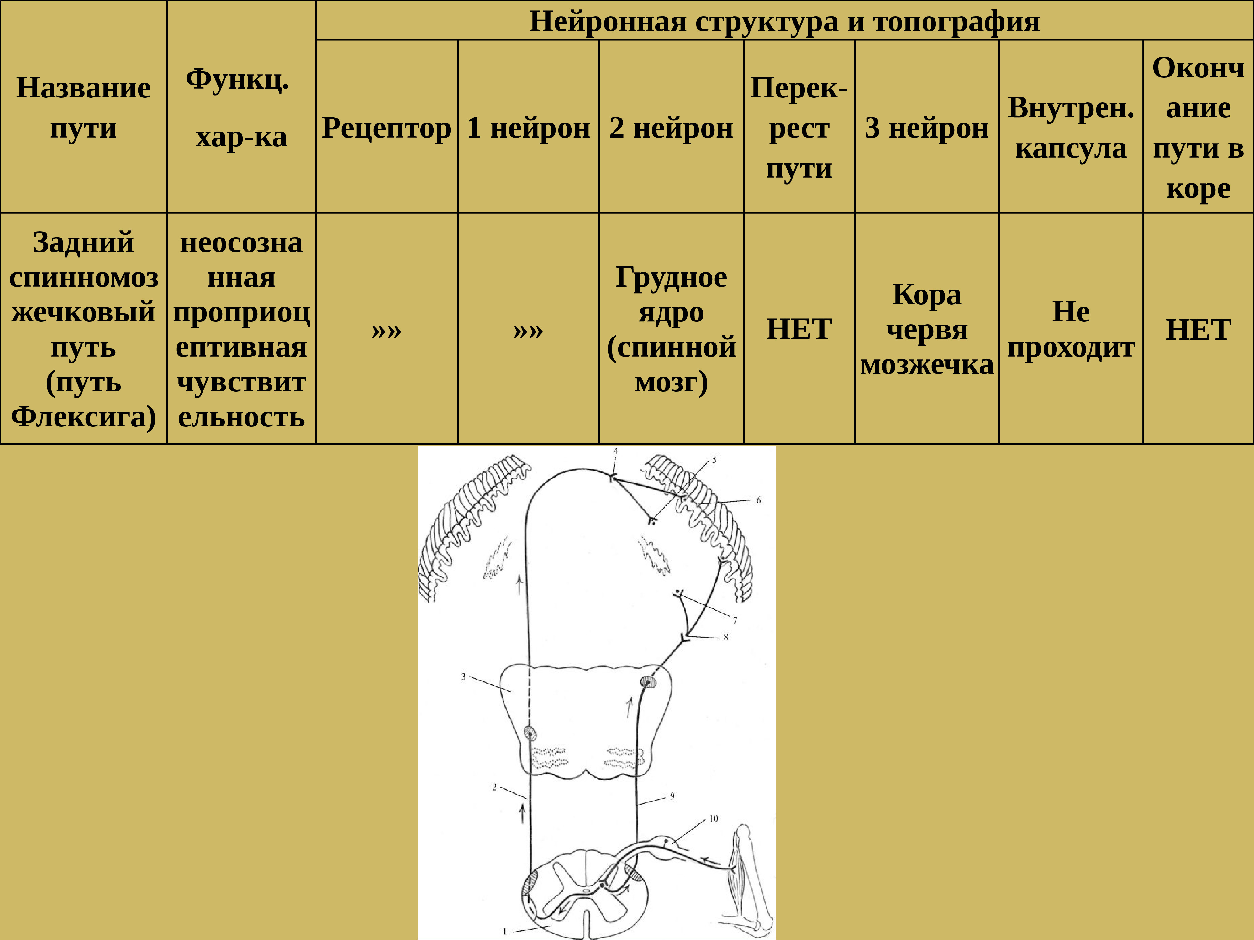 Название пути