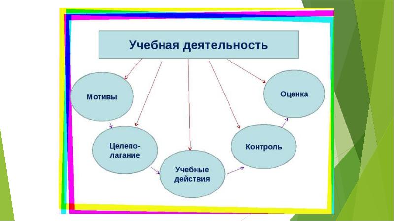 Моя учебная деятельность проект