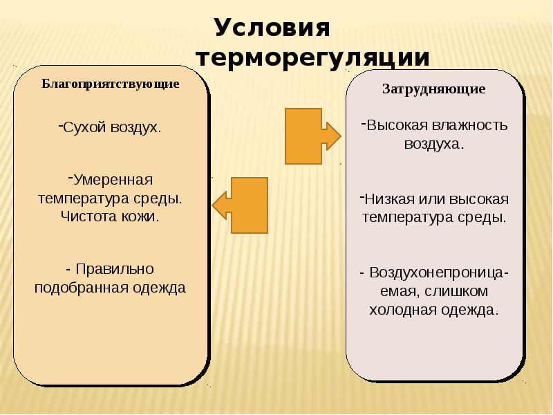 Терморегуляция организма человека презентация