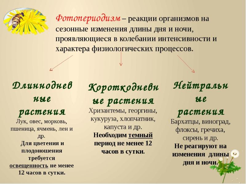 Презентация сезонные изменения в живой природе 9 класс биология