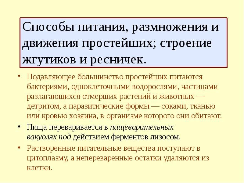 Питание размножение