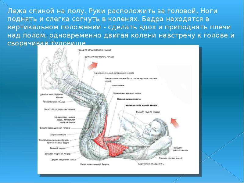 Мышца поднимающая ногу из положения лежа. Подъем ног из положения лежа на спине. лежа на спине слегка согнув ноги. прыжок из положения лежа на спине.