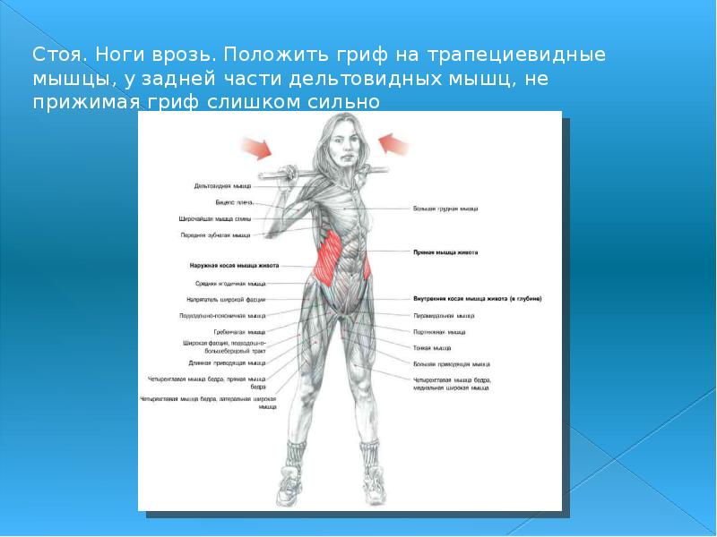 Мышцы сильнее развиты. Самая сильная мышца у человека. Язык самая сильная мышца. Самая сильная мышца в теле человека. Самая сильная мышца у человека это язык почему.