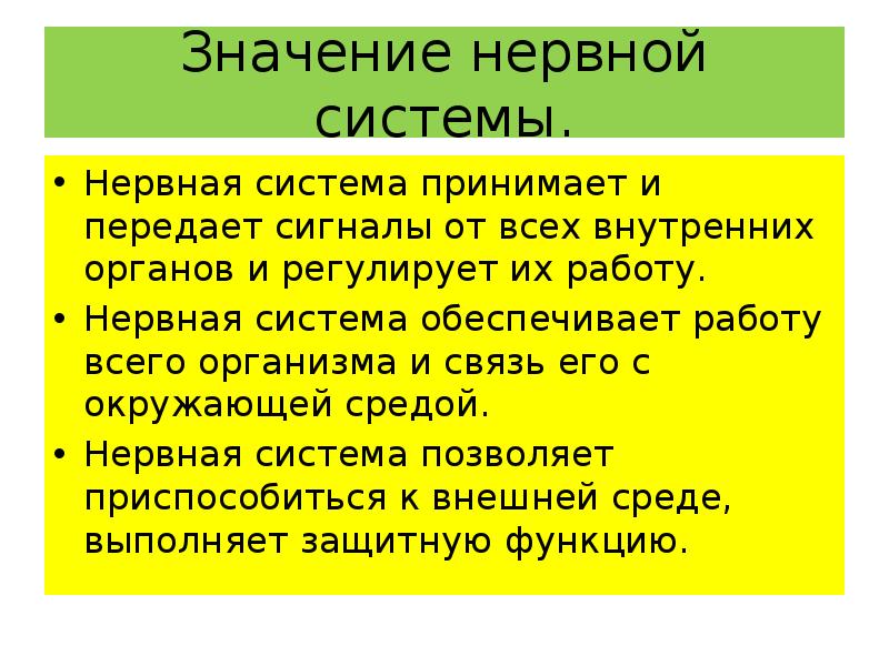 Класс история значение. Значение нервной системы для организма человека. Доклад на тему значение нервной системы для организма. Знаен енервной системы. Нервная система человека рассказ.