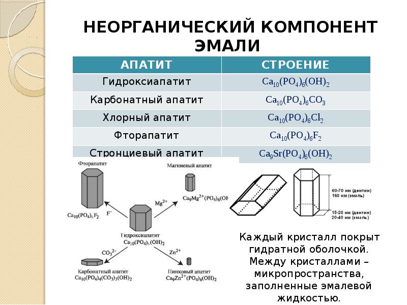 Биохимия в рисунках и схемах донецк