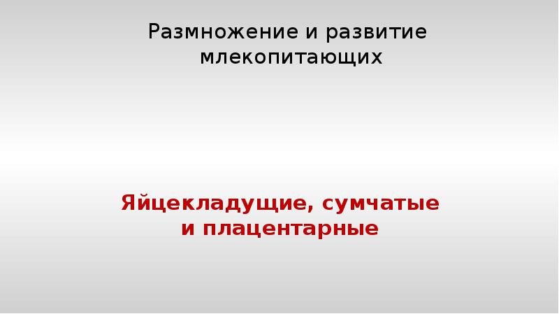 Размножение и развитие млекопитающих 7 класс конспект. Размножение и развитие млекопитающих 7 класс конспект