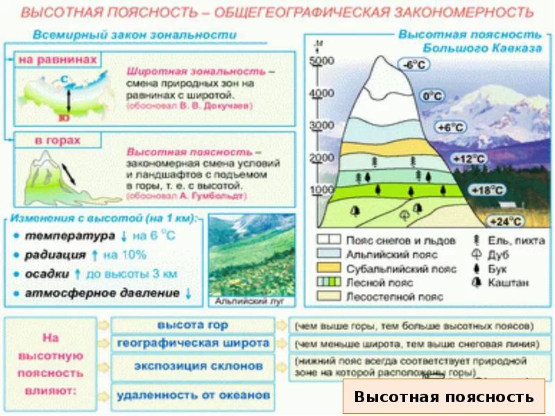 Высотная поясность презентация 8 класс география