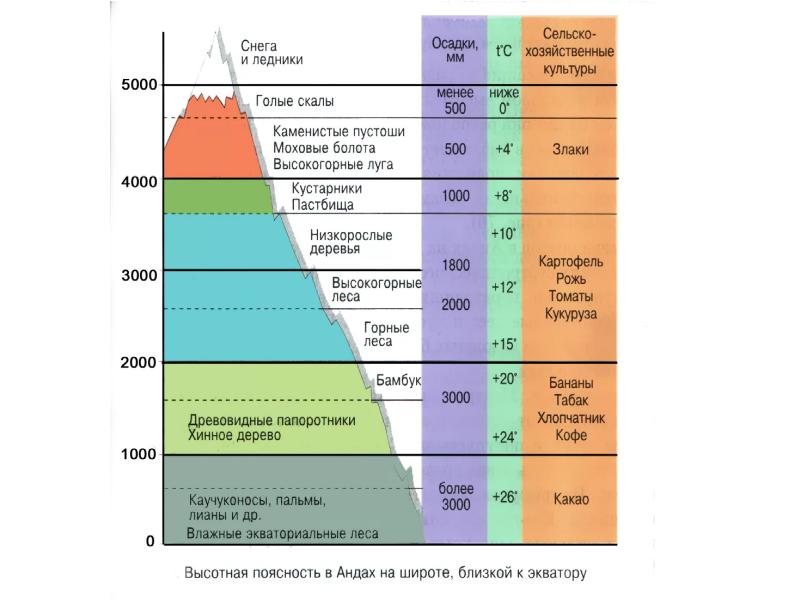 Высотная поясность в горах география 8 класс. Высотная поясность таблица климат. Высотная поясность это в географии 7 класс. Высотная поясность Хиби. Высотные пояса схема.